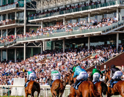 horse racing picture