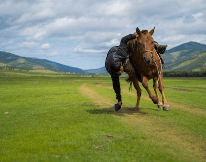 A person falling off a running horse