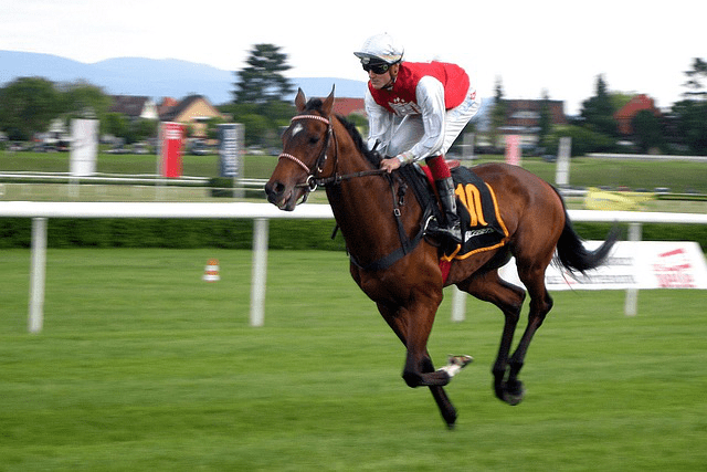 A jockey at a horse race track