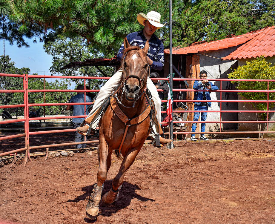 A man in a cowboy hat riding a horse