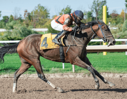 a man riding a horse