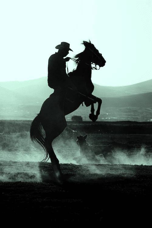 A silhouette of a man riding a horse