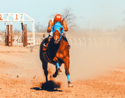 Horse Racing Excellence