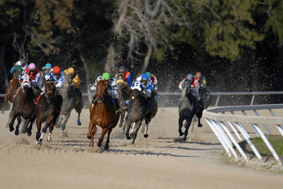 Competitive Horse Racing