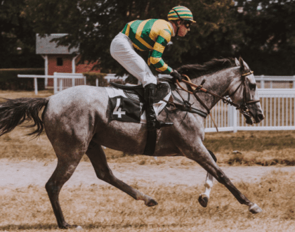 From Track to Tech: Innovations in Horse Racing Picks Analysis